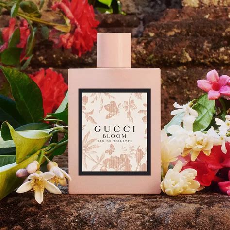 gucci beauty bloom eau de parfum|gucci bloom perfume smell.